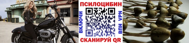 Псилоцибиновые грибы MAGIC MUSHROOMS  Полярный 